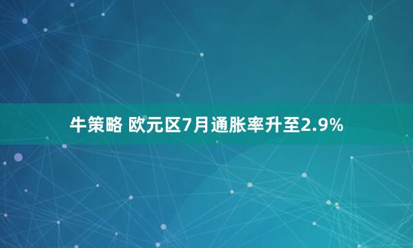 牛策略 欧元区7月通胀率升至2.9%